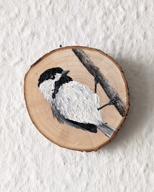 Black Capped Chickadee