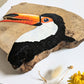 Toucan