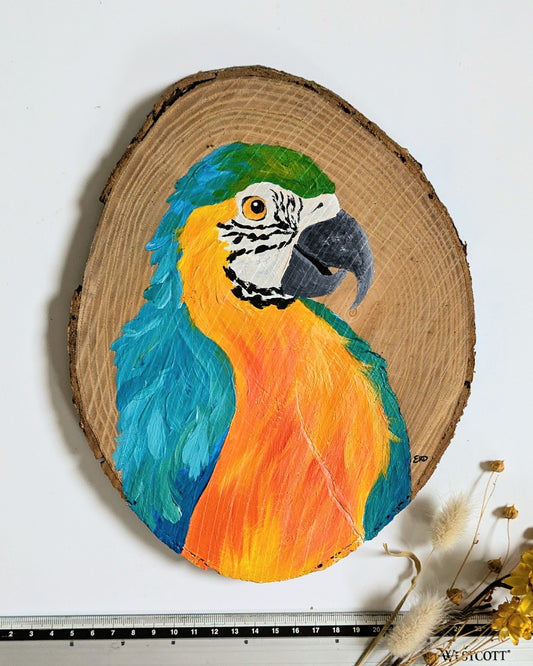 Macaw Parrot