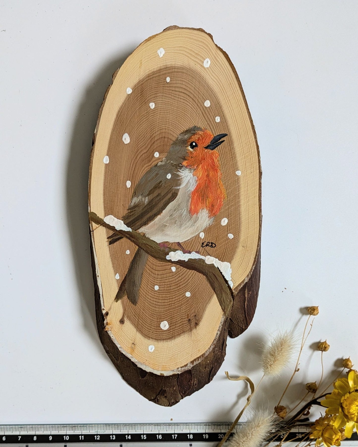 Winter Robin