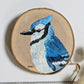 Blue Jay