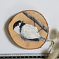 Black Capped Chickadee
