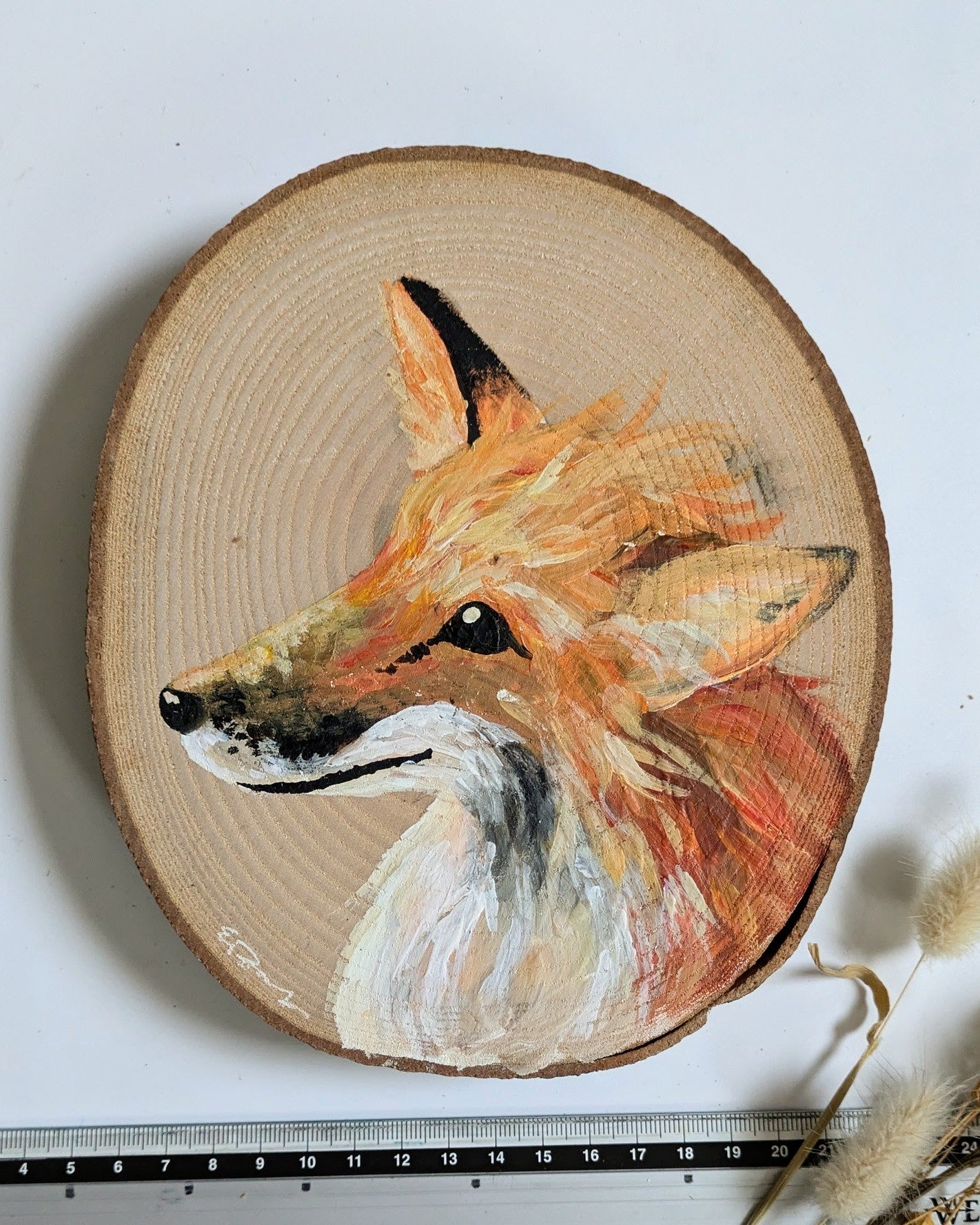 Fox