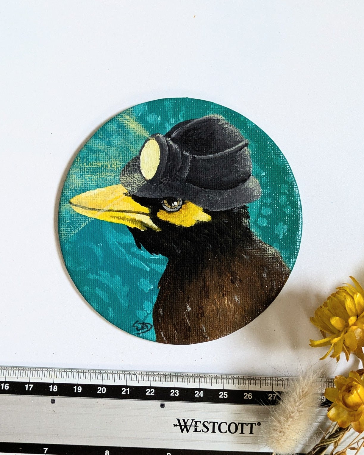 Miner Myna - 10cm