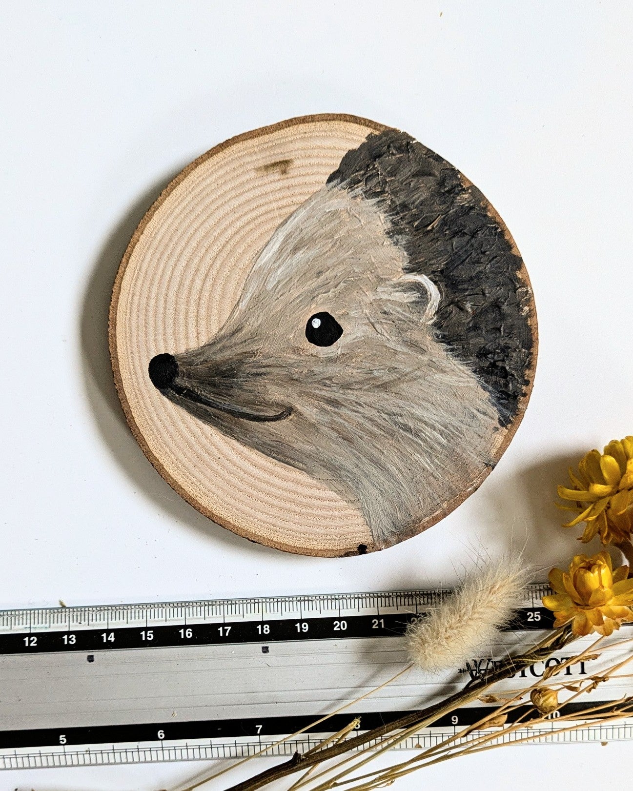 Hedgehog