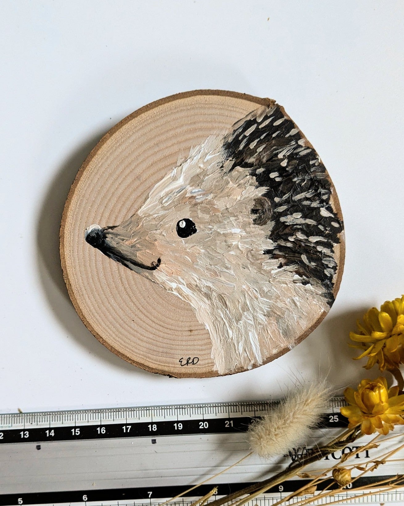 Hedgehog