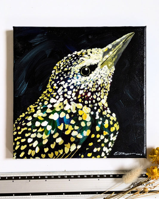 Starlings