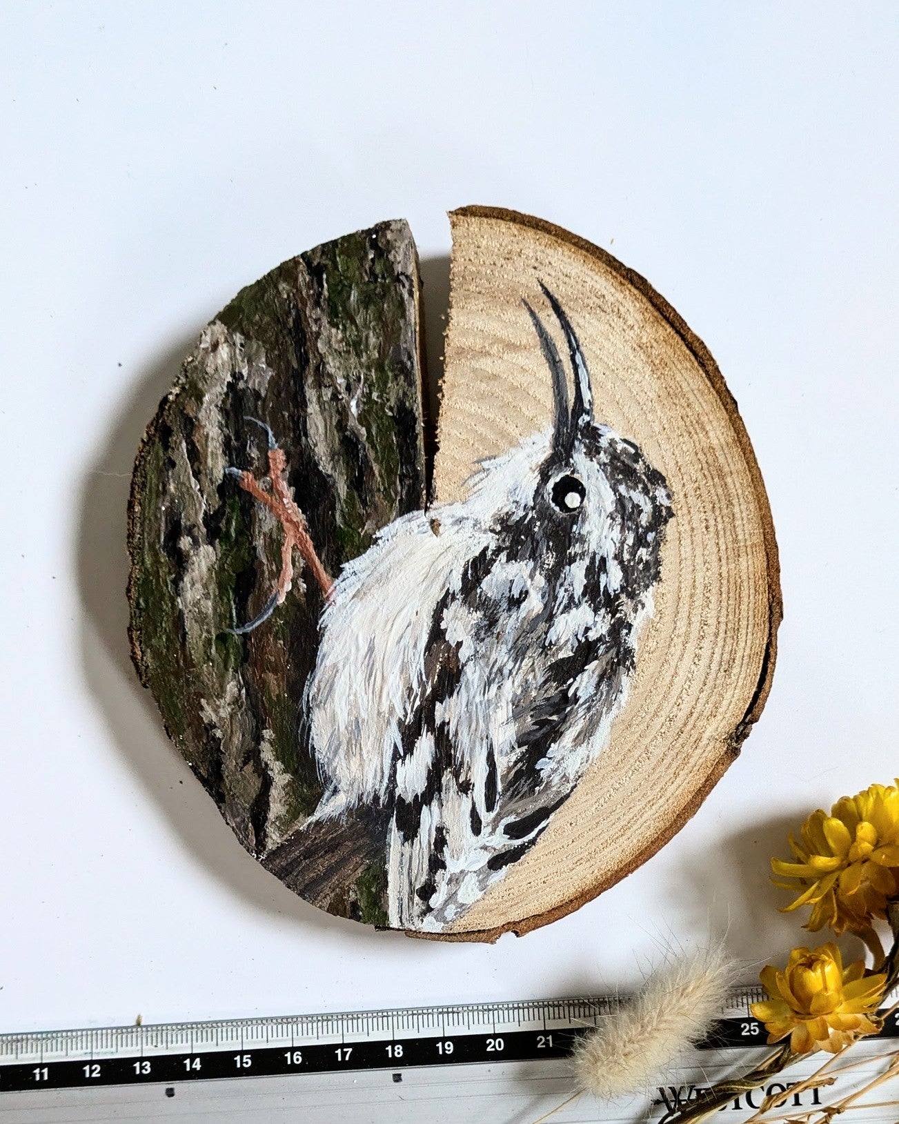 Tree Creeper