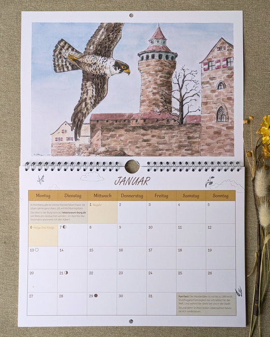 Nürnberger Vogelkalender 2025