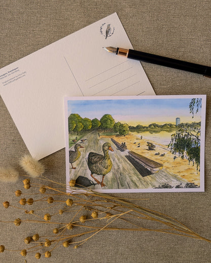 "Geese on the Beach" Postcard Print