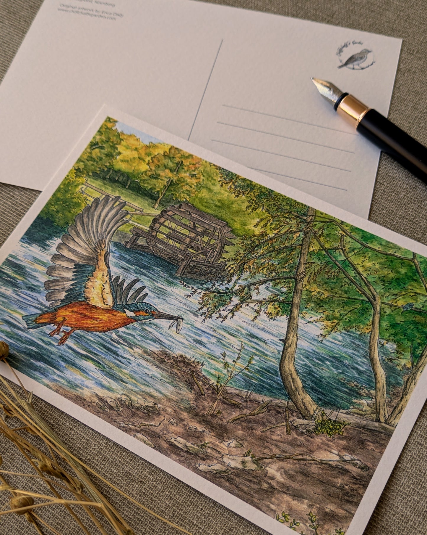 "Kingfisher on the River" Postcard Print