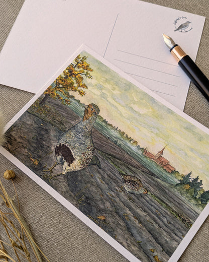 "Partridge in the Field" Postcard Print