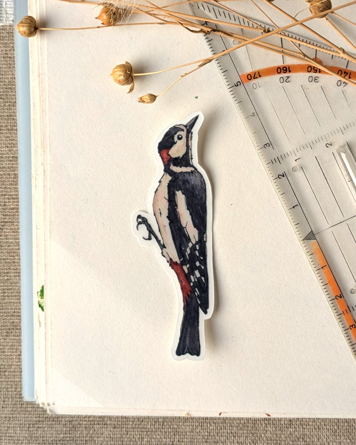 Woodpecker Sticker