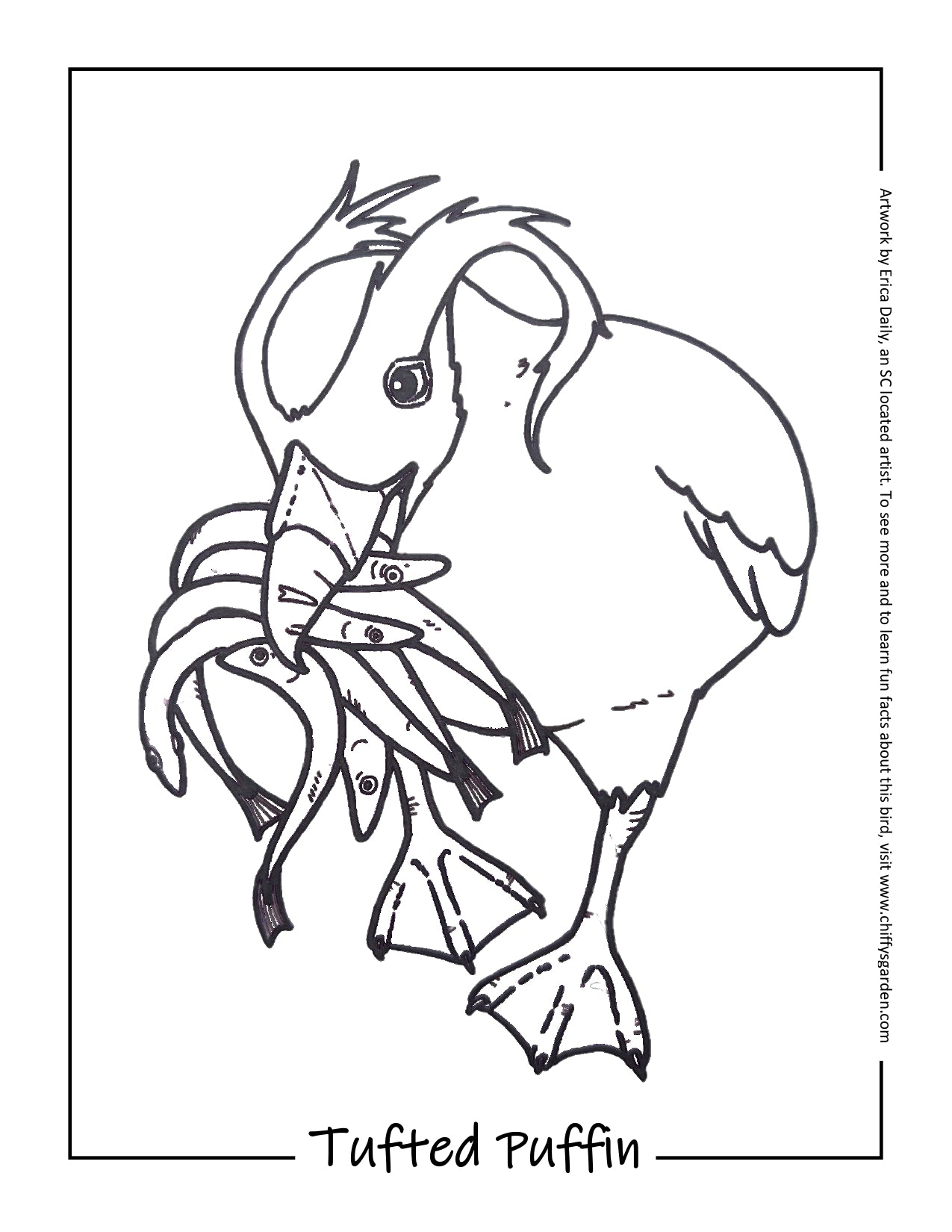 Tufted Puffin - FREE Printable Coloring Page
