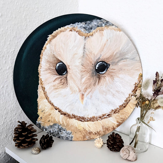 Blissful Barn Owl - 30cm