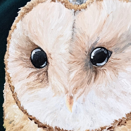 Blissful Barn Owl - 30cm