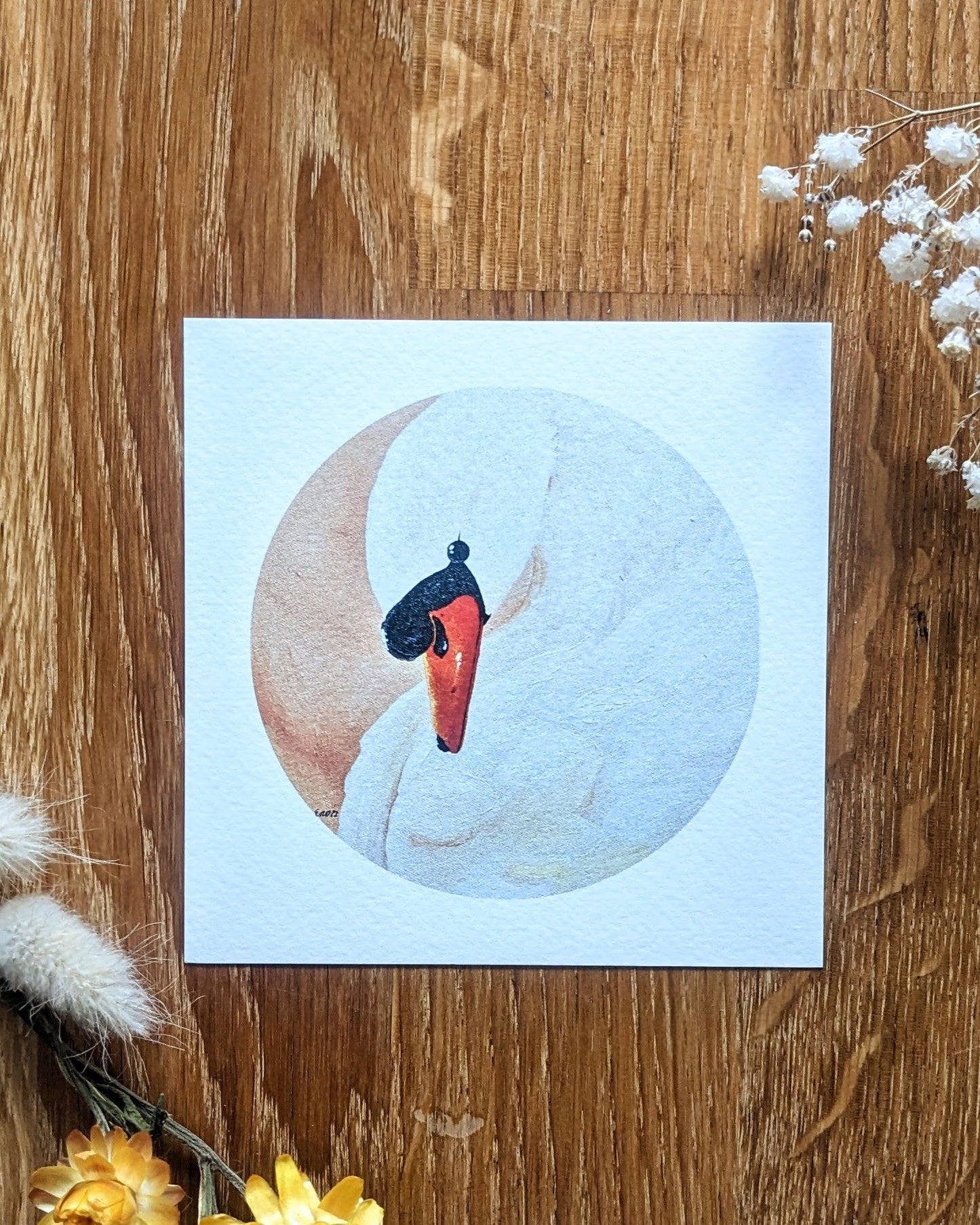 "Silent Swan" Art Print