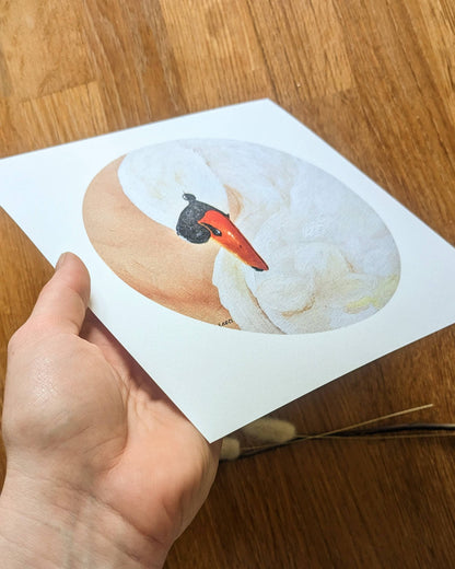 "Silent Swan" Art Print