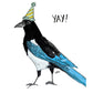 "Party Magpie" Card
